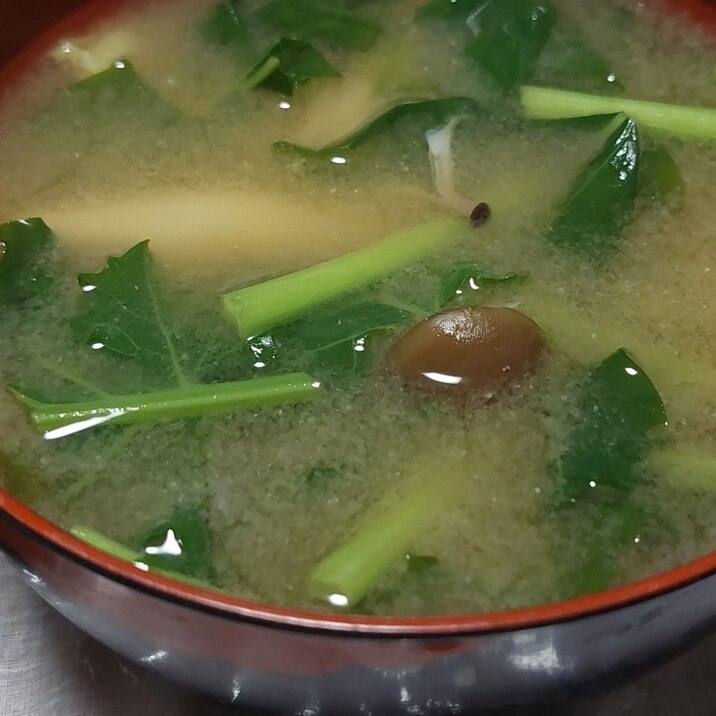 大根の葉としめじのお味噌汁